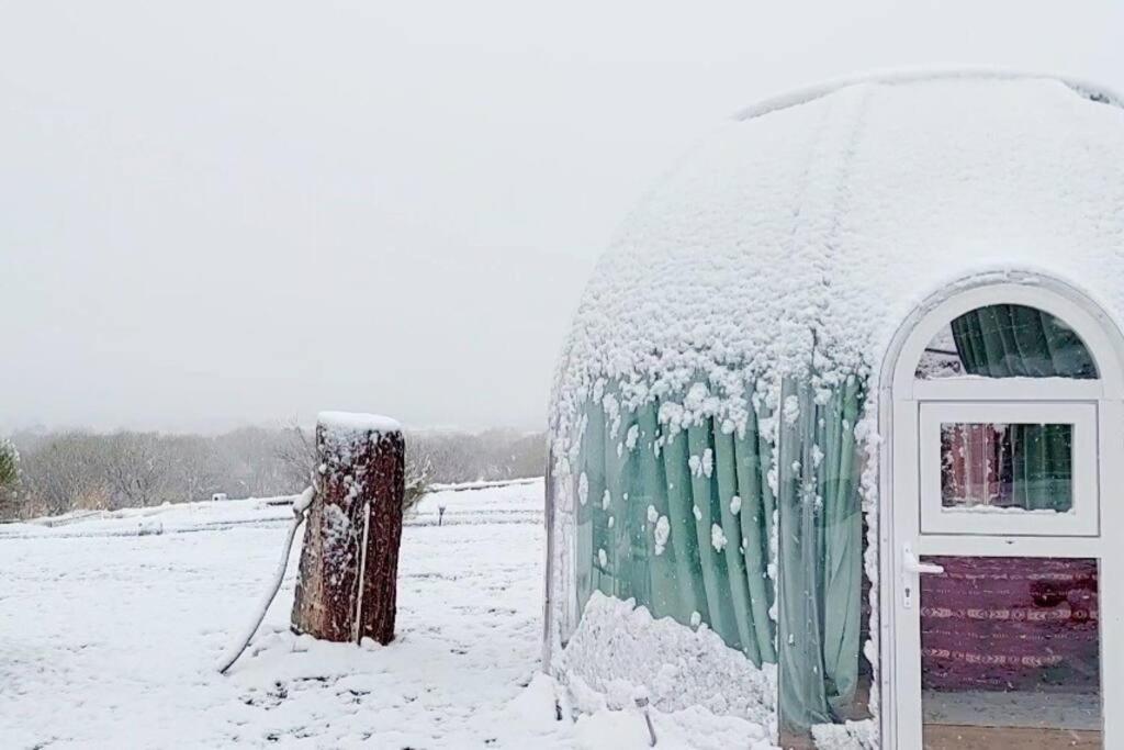 Stargazing Retreats Homestay Camp Verde Værelse billede